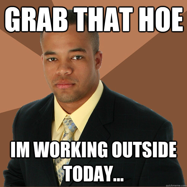 grab that hoe Im working outside today...  Successful Black Man