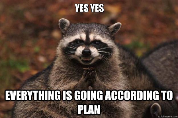 yes yes everything is going according to plan  Evil Plotting Raccoon