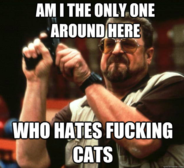 Am I the only one around here who hates fucking cats   Angry Walter