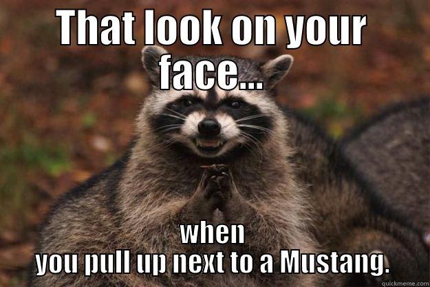 THAT LOOK ON YOUR FACE... WHEN YOU PULL UP NEXT TO A MUSTANG. Evil Plotting Raccoon