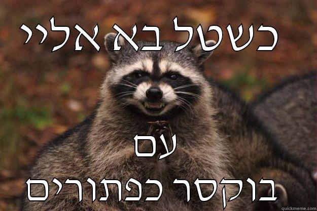 ASDASDAD ASD A - כשטל בא אליי  עם בוקסר כפתורים  Evil Plotting Raccoon