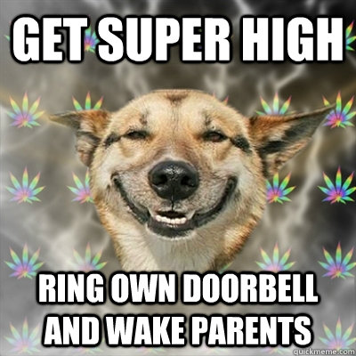 get super high Ring own doorbell and wake parents  Stoner Dog