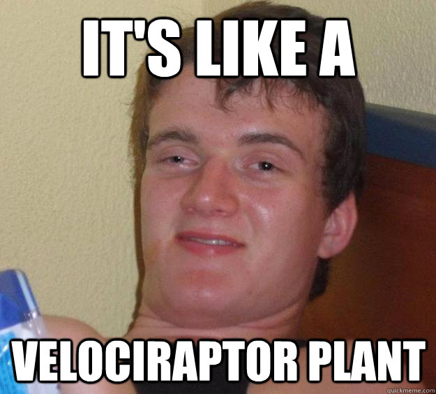 It's like a  velociraptor plant  10 Guy