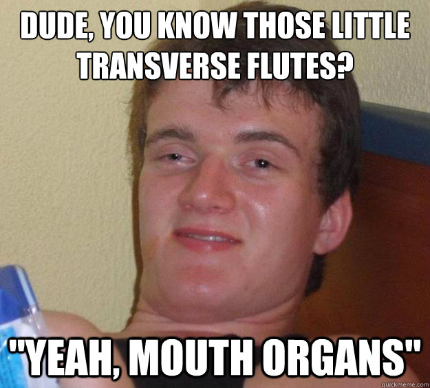 Dude, You know those little Transverse flutes? ''Yeah, mouth organs''  10 Guy