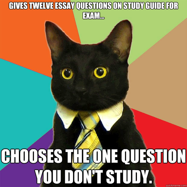 GIVES TWELVE ESSAY QUESTIONS ON STUDY GUIDE FOR EXAM... CHOOSES THE ONE QUESTION YOU DON'T STUDY.  Business Cat