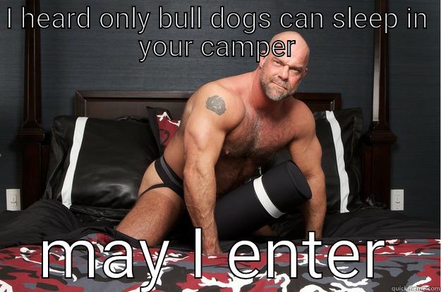 I HEARD ONLY BULL DOGS CAN SLEEP IN YOUR CAMPER MAY I ENTER Gorilla Man