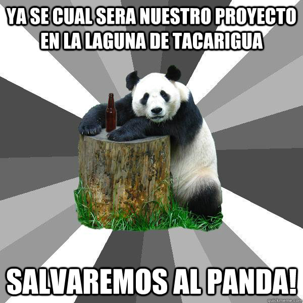 Ya se cual sera nuestro proyecto en la Laguna de Tacarigua Salvaremos al Panda!  Pickup-Line Panda