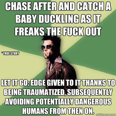 chase after and catch a baby duckling as it freaks the fuck out  Let it go; Edge given to it thanks to being traumatized, subsequently avoiding potentially dangerous humans from then on. * True Story  Helpful Tyler Durden