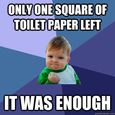 only one square of toilet paper left it was enough  Success Kid