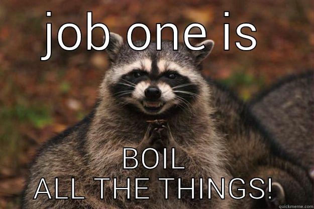 JOB ONE IS BOIL ALL THE THINGS! Evil Plotting Raccoon