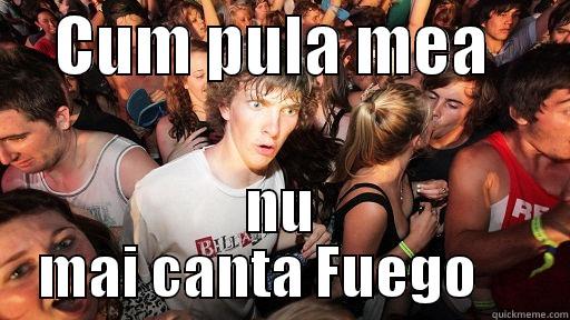     CUM PULA MEA       NU MAI CANTA FUEGO     Sudden Clarity Clarence