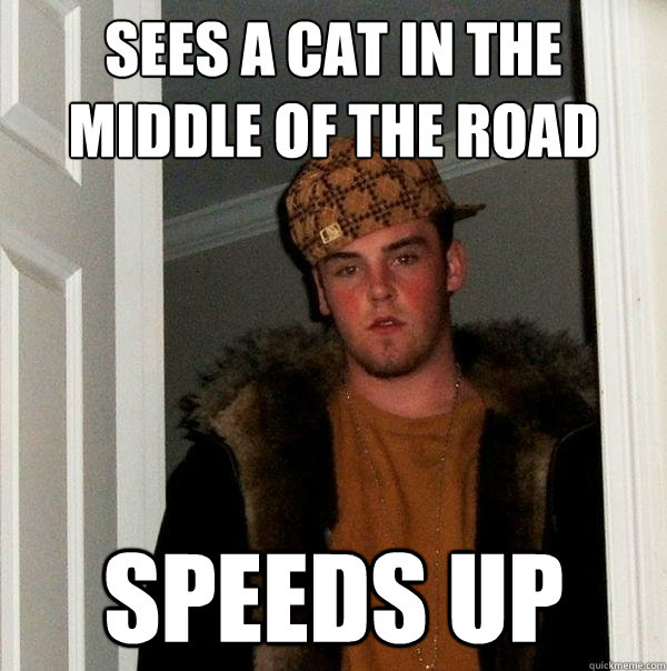 Sees a cat in the middle of the road speeds up  Scumbag Steve