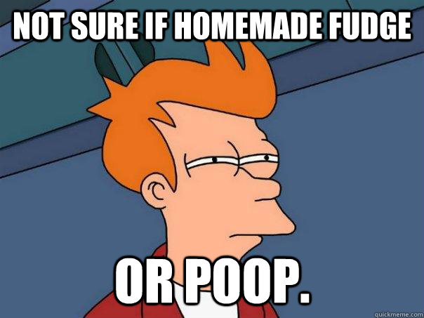 Not sure if homemade fudge Or poop.  Futurama Fry