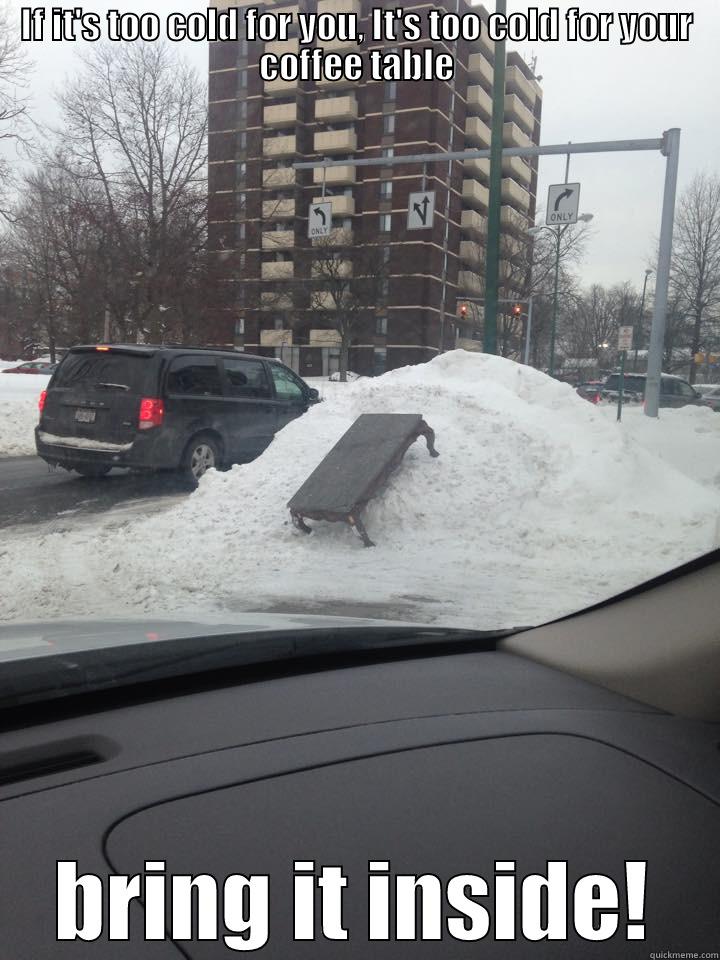 IF IT'S TOO COLD FOR YOU, IT'S TOO COLD FOR YOUR COFFEE TABLE BRING IT INSIDE! Misc