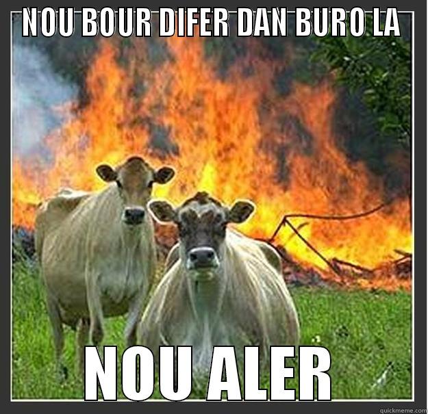 NOU BOUR DIFER DAN BURO LA NOU ALER Evil cows