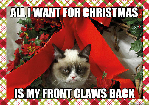 All I want for Christmas is my front claws back - All I want for Christmas is my front claws back  merry christmas