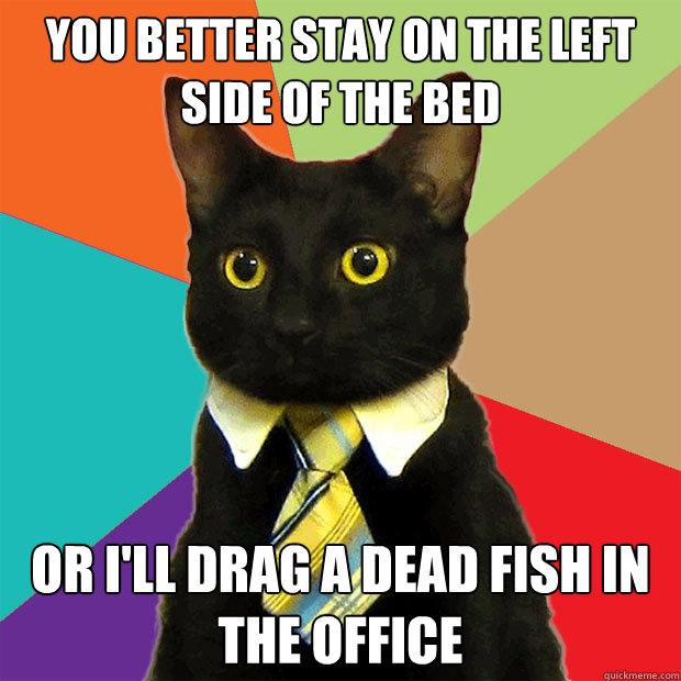 You better stay on the left side of the bed or i'll drag a dead fish in the office  Business Cat