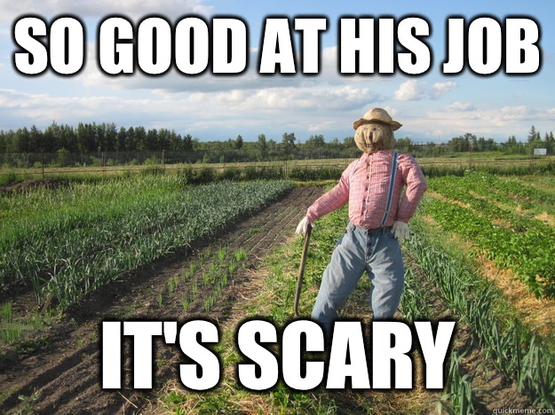 So good at his job It's scary  Scarecrow