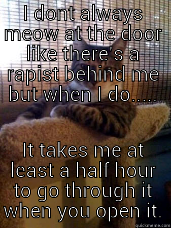 I DONT ALWAYS MEOW AT THE DOOR LIKE THERE'S A RAPIST BEHIND ME BUT WHEN I DO..... IT TAKES ME AT LEAST A HALF HOUR TO GO THROUGH IT WHEN YOU OPEN IT. The Most Interesting Cat in the World