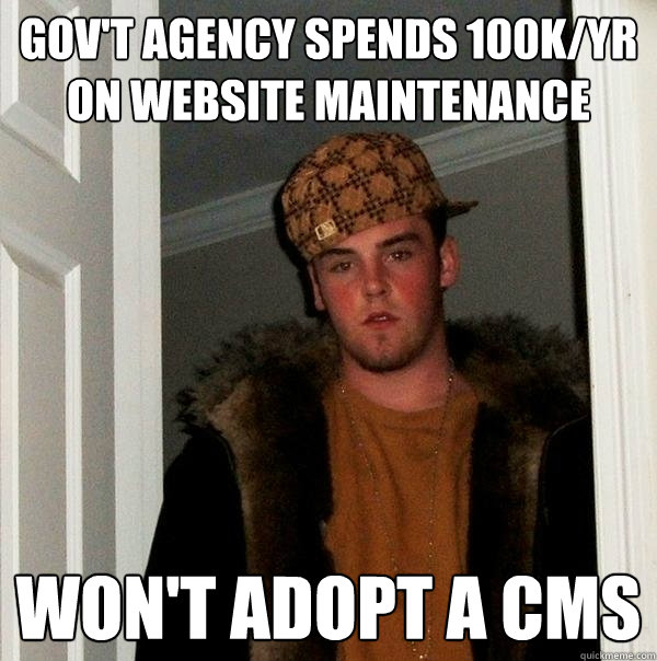 Gov't agency spends 100k/yr on website maintenance won't adopt a cms  Scumbag Steve