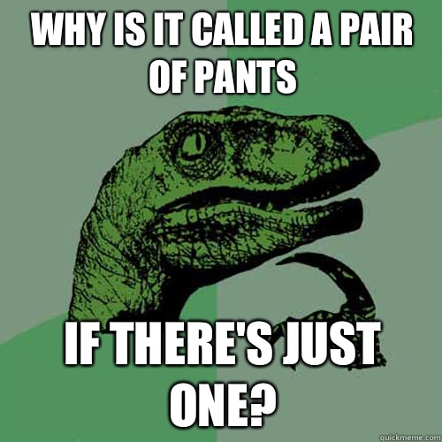 Why is it called a pair of pants If there's just one? - Why is it called a pair of pants If there's just one?  Philosoraptor