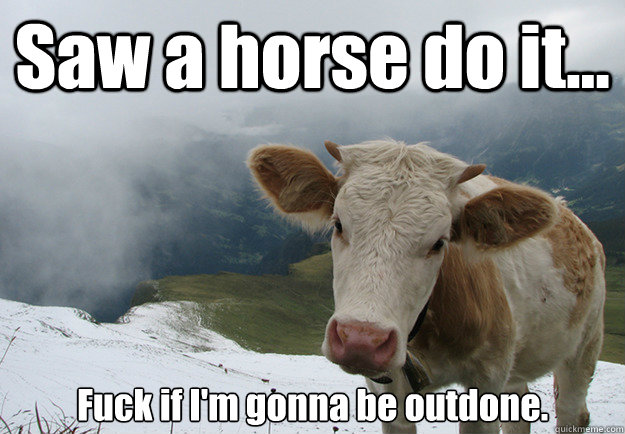 Saw a horse do it... Fuck if I'm gonna be outdone. - Saw a horse do it... Fuck if I'm gonna be outdone.  Skyrim Cow