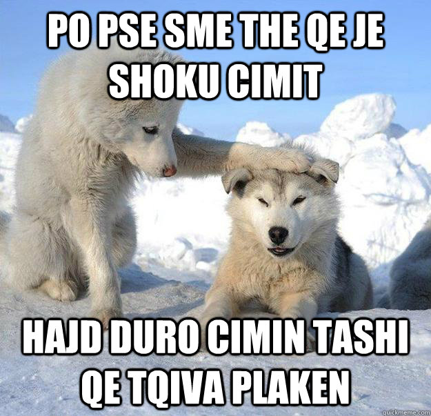 po pse sme the qe je shoku cimit hajd duro cimin tashi qe tqiva plaken  Caring Husky