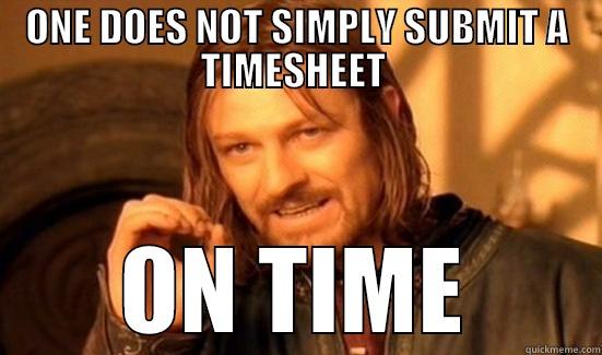 ONE DOES NOT SIMPLY SUBMIT A TIMESHEET  ON TIME Boromir