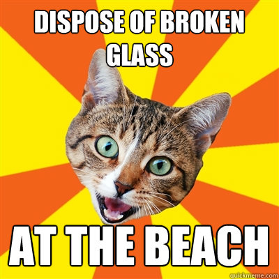 Dispose of broken glass at the beach  Bad Advice Cat