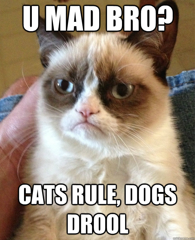 u mad bro? Cats Rule, Dogs Drool  Grumpy Cat