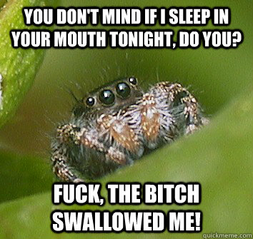 You don't mind if I sleep in your mouth tonight, do you? Fuck, the bitch swallowed me!  Misunderstood Spider