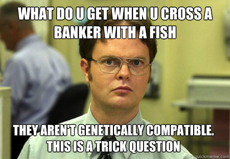 What do u get when u cross a banker with a fish they aren't genetically compatible. this is a trick question  Dwight