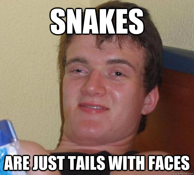 Snakes Are just tails with faces  10 Guy