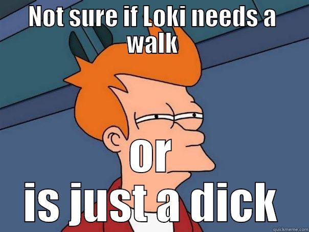 NOT SURE IF LOKI NEEDS A WALK OR IS JUST A DICK Futurama Fry