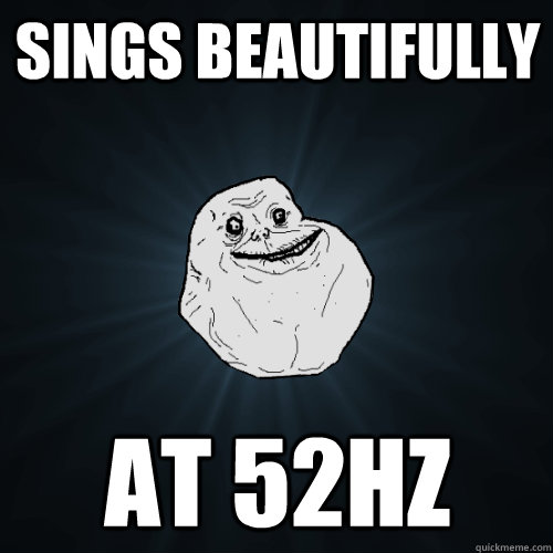 Sings beautifully At 52hz - Sings beautifully At 52hz  Forever Alone