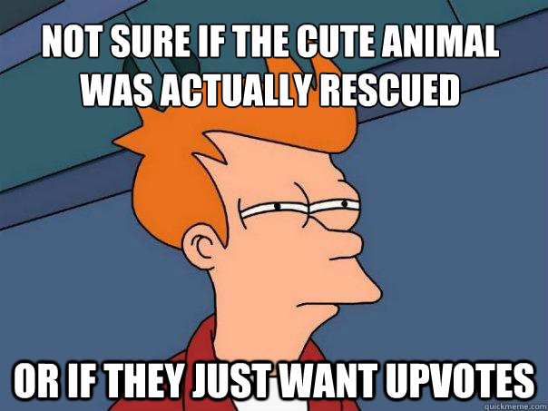 not sure if the cute animal was actually rescued or if they just want upvotes  Futurama Fry