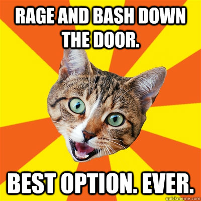 Rage and bash down the door. Best option. EVER.  Bad Advice Cat