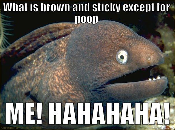 me gusta fish - WHAT IS BROWN AND STICKY EXCEPT FOR POOP   ME! HAHAHAHA! Bad Joke Eel