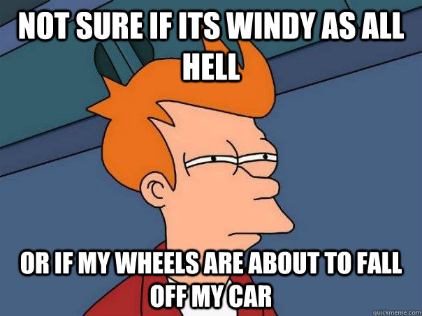 Not sure if its windy as all hell or if my wheels are about to fall off my car  Futurama Fry