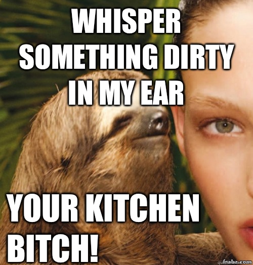 Whisper something Dirty in my Ear Your Kitchen Bitch!  rape sloth