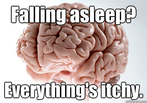 Falling asleep? Everything's itchy.   Scumbag Brain