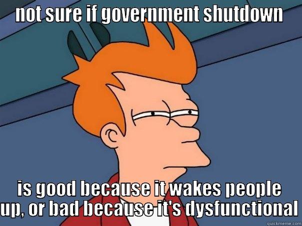 NOT SURE IF GOVERNMENT SHUTDOWN IS GOOD BECAUSE IT WAKES PEOPLE UP, OR BAD BECAUSE IT'S DYSFUNCTIONAL Futurama Fry