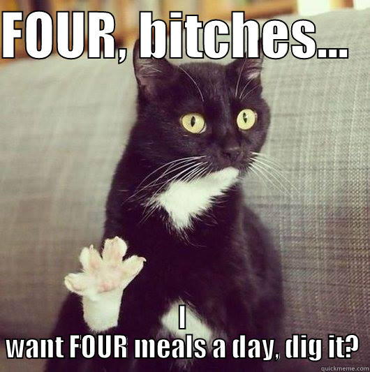 FOUR, BITCHES...   I WANT FOUR MEALS A DAY, DIG IT? Misc