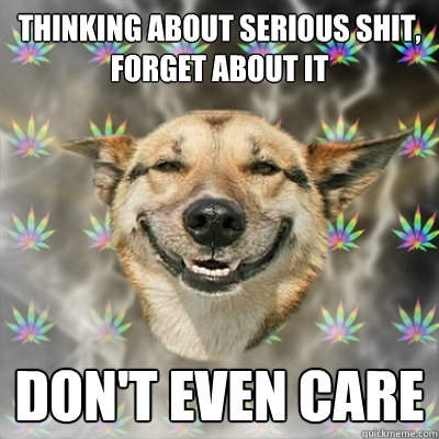 Thinking about serious shit,
Forget about it Don't even care  Stoner Dog