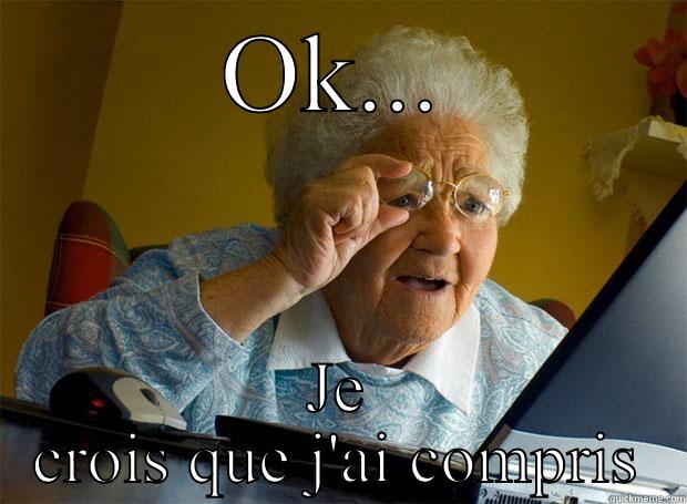 OK... JE CROIS QUE J'AI COMPRIS Grandma finds the Internet