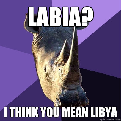 Labia? I think you mean Libya  Sexually Oblivious Rhino