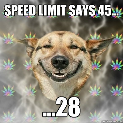 speed limit says 45... ...28  Stoner Dog