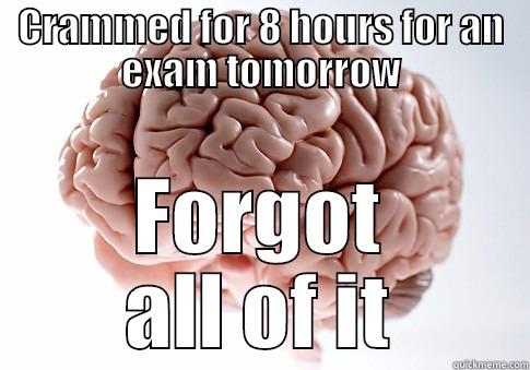 CRAMMED FOR 8 HOURS FOR AN EXAM TOMORROW FORGOT ALL OF IT Scumbag Brain