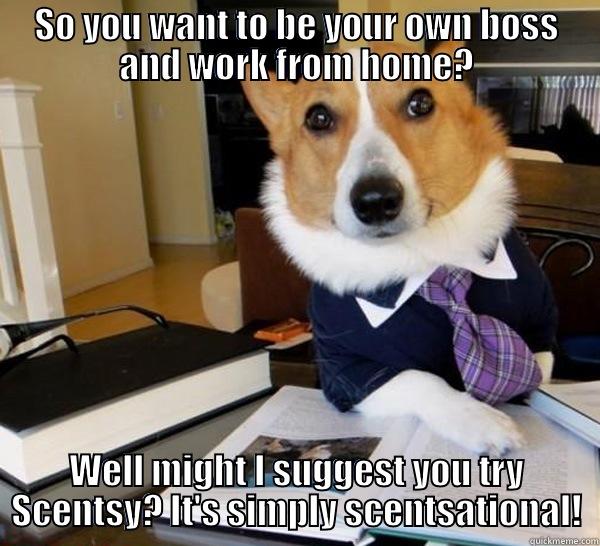 SO YOU WANT TO BE YOUR OWN BOSS AND WORK FROM HOME? WELL MIGHT I SUGGEST YOU TRY SCENTSY? IT'S SIMPLY SCENTSATIONAL! Lawyer Dog