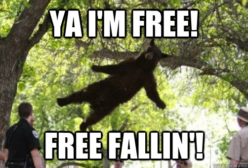 ya i'm free! free fallin'! - ya i'm free! free fallin'!  Misc